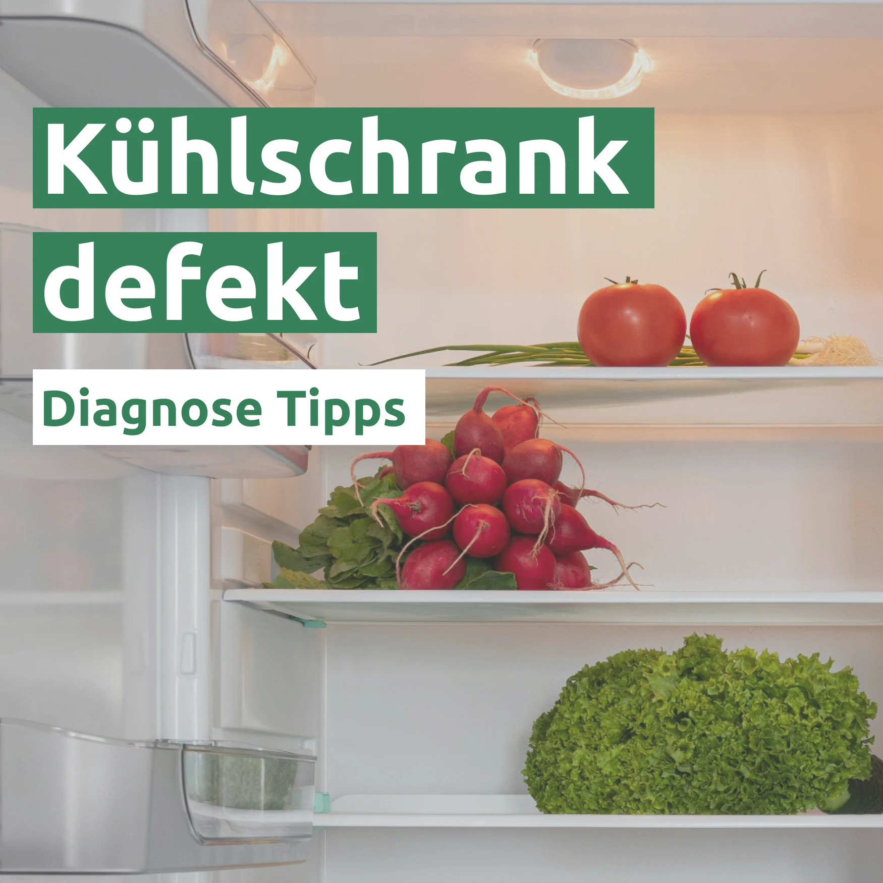 Kühlschrank defekt 