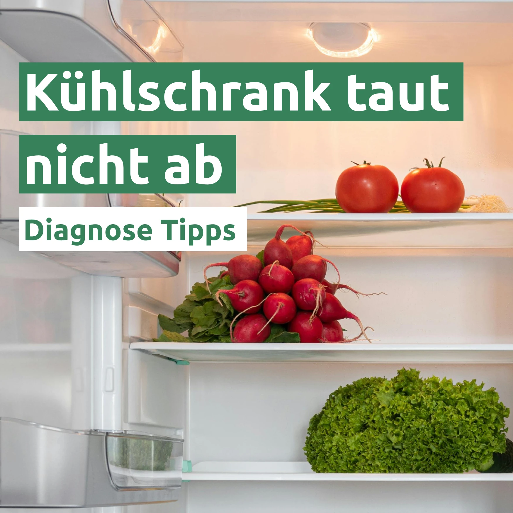 Kühlschrank taut nicht ab