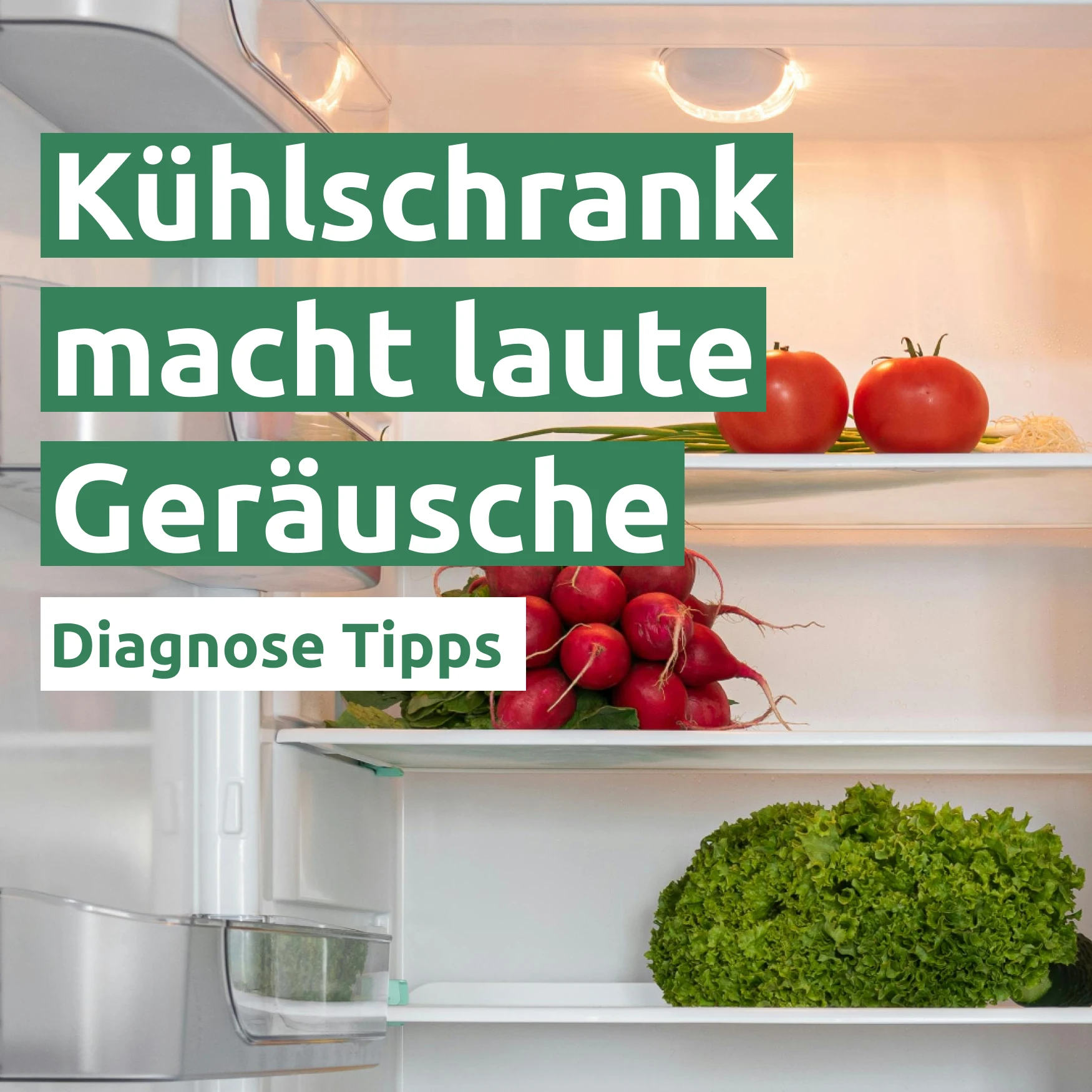 Kühlschrank macht laute Geräusche