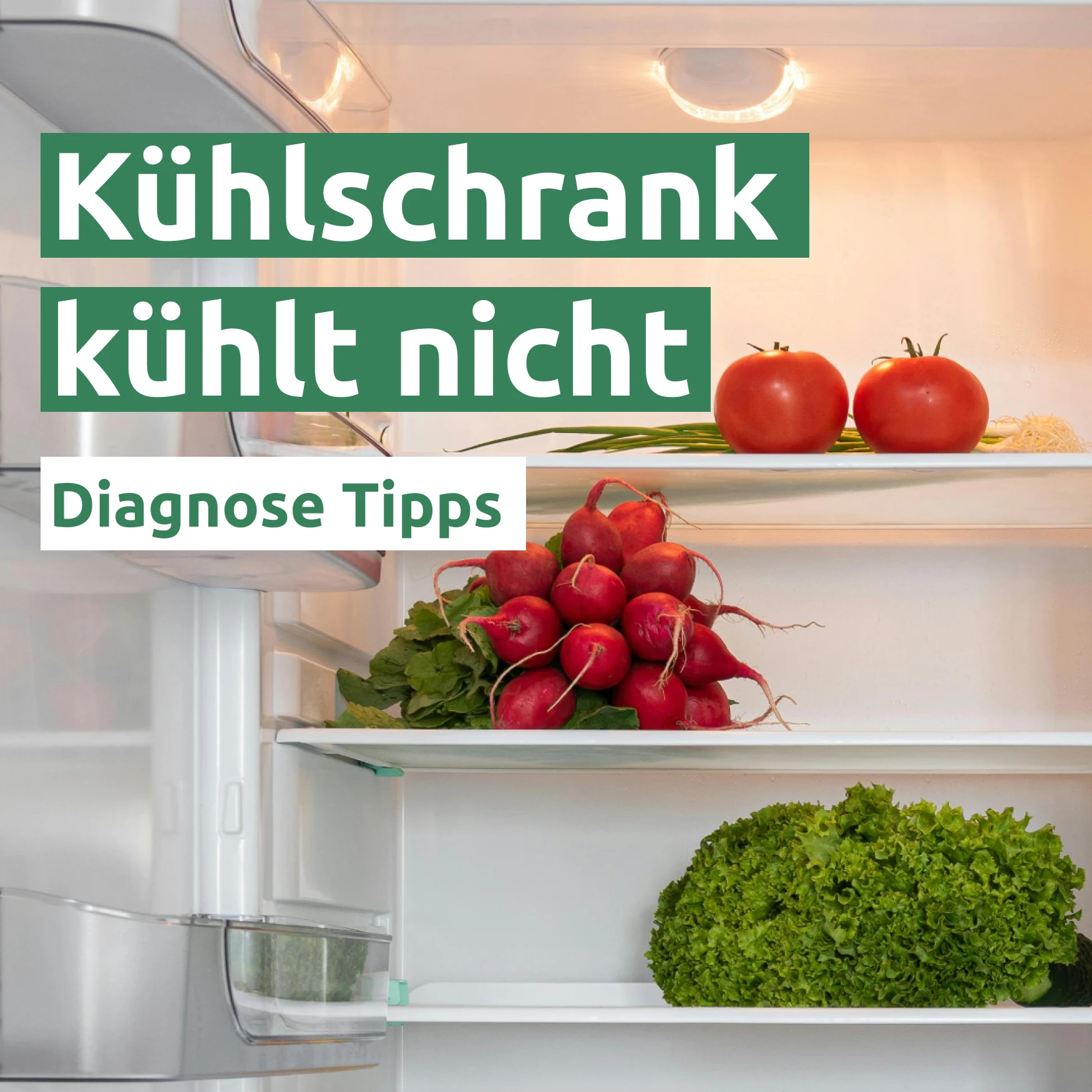 Kühlschrank kühlt nicht 