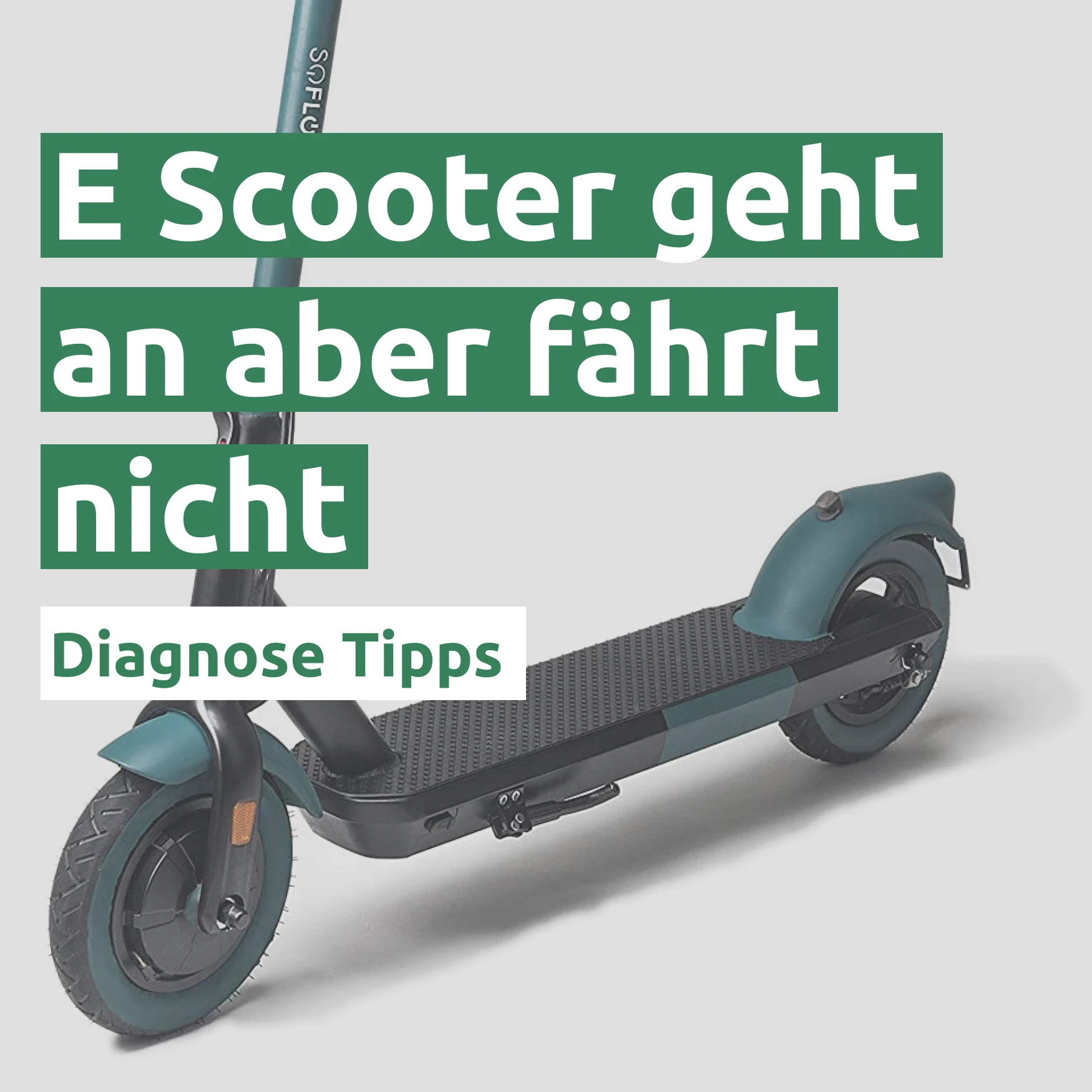 E-Scooter geht an aber fährt nicht