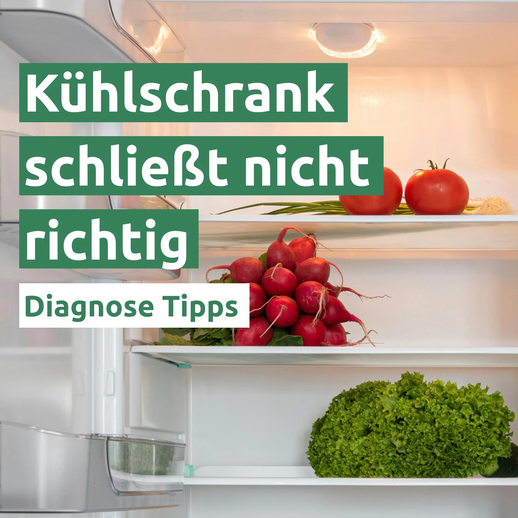 Kühlschranktür schließt nicht richtig 