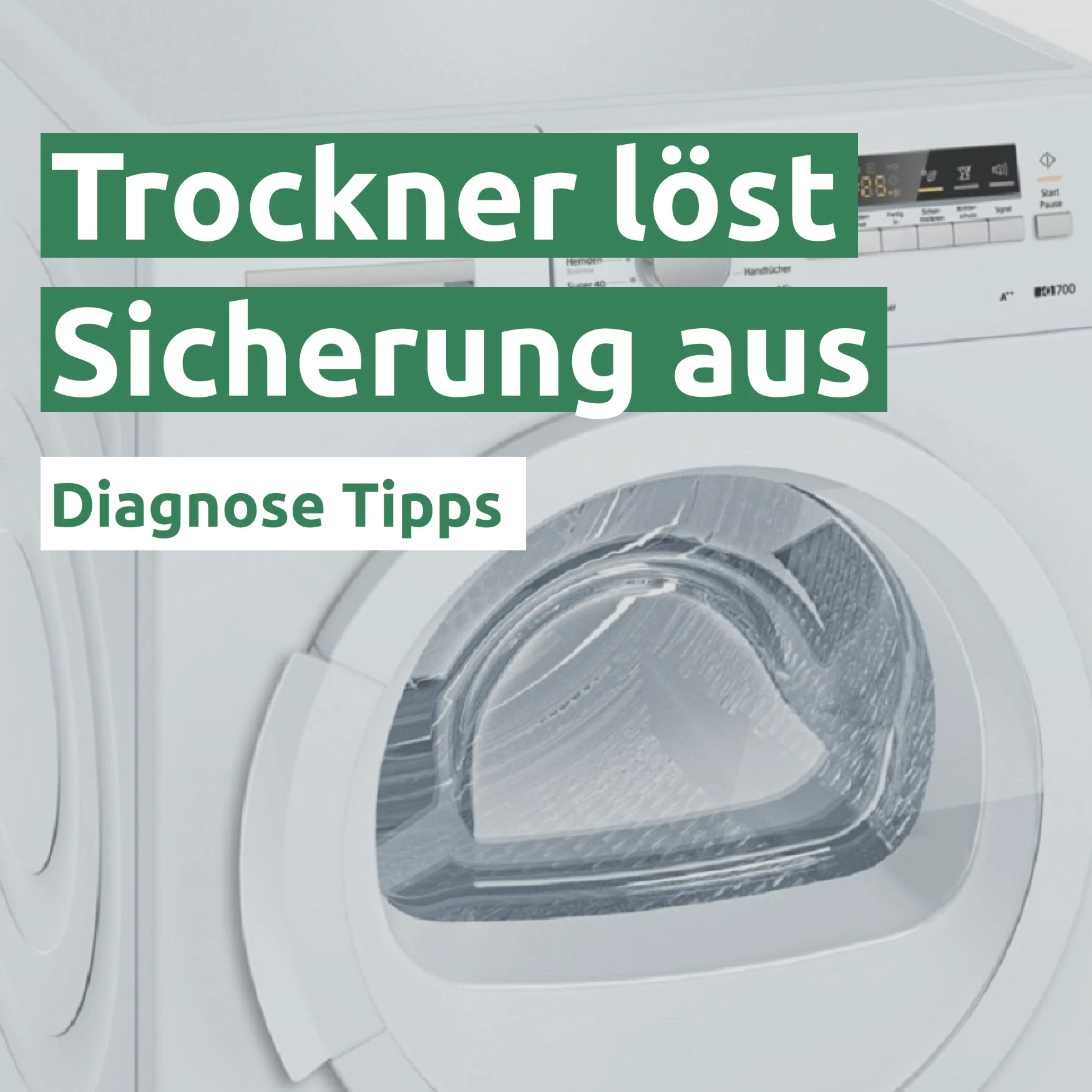 Trockner löst Sicherung aus