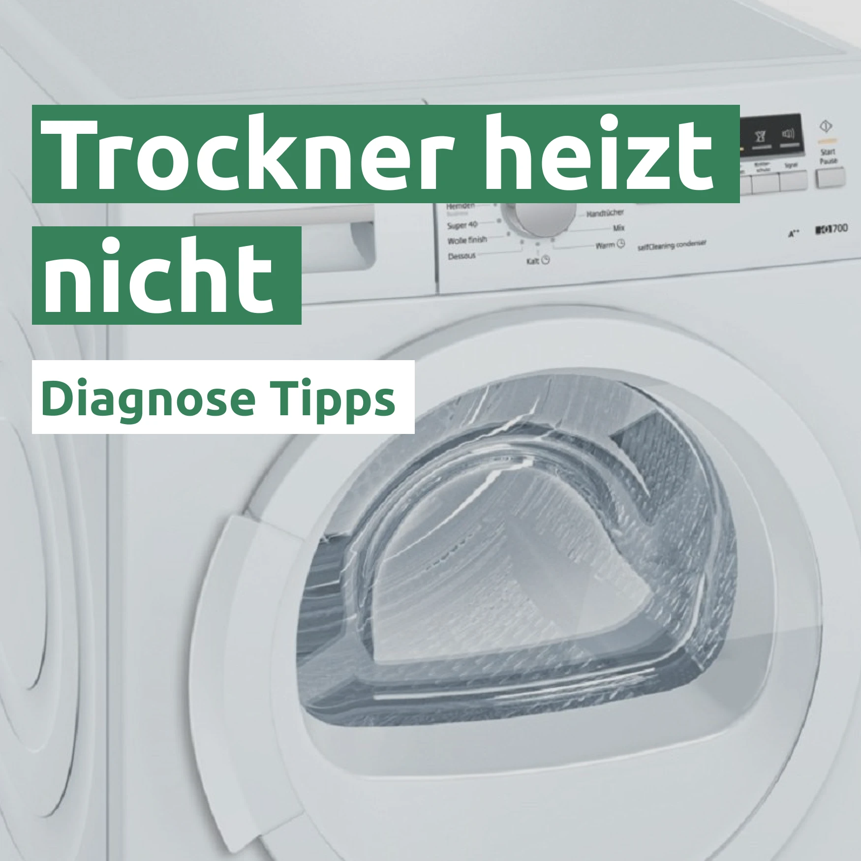 Trockner heizt nicht