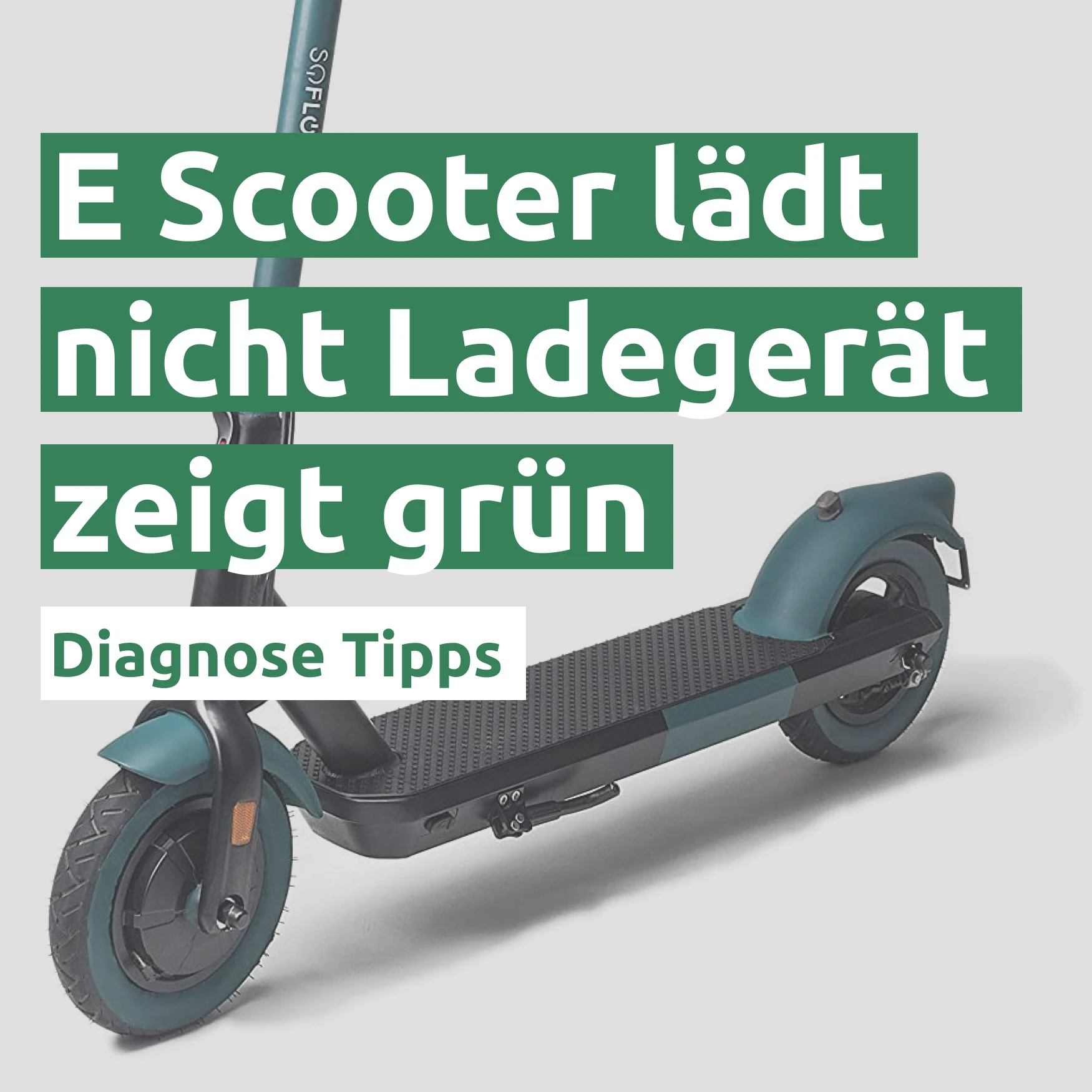 E Scooter lädt nicht Ladegerät zeigt grün 