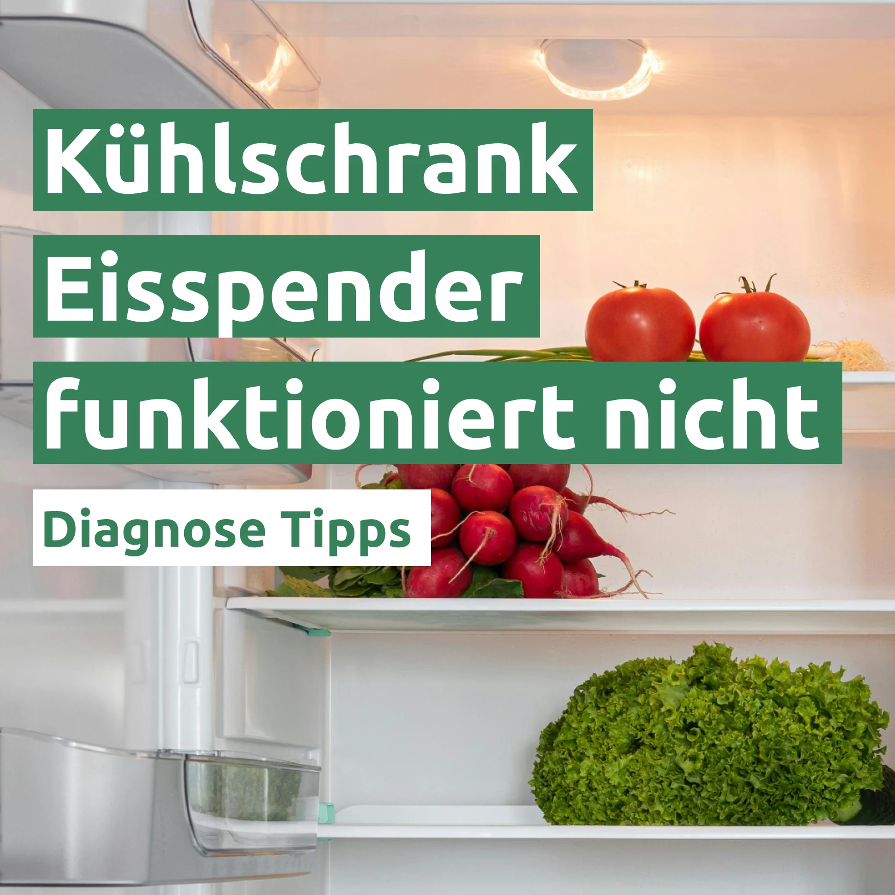 Kühlschrank Eisspender funktioniert nicht 