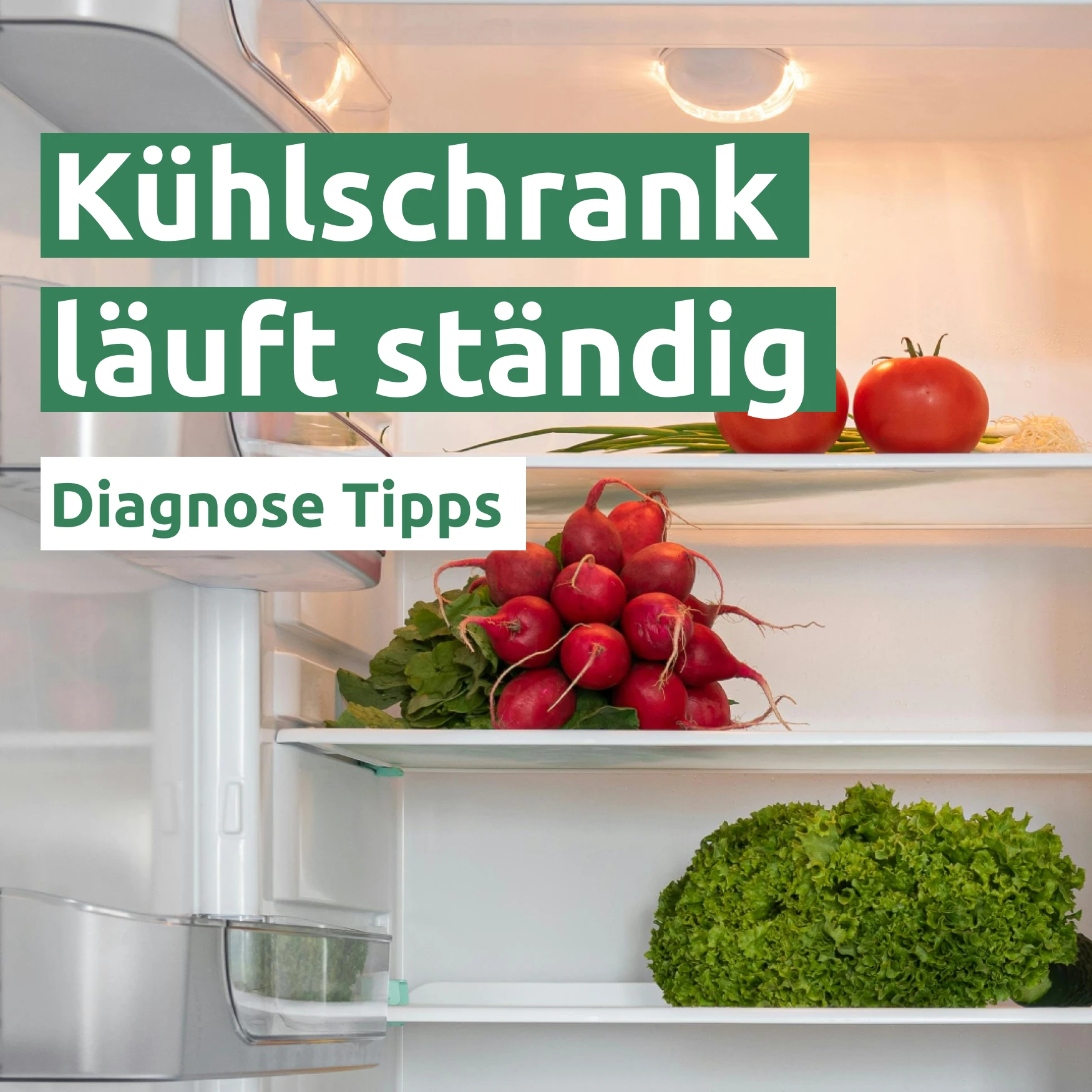 Kühlschrank läuft ständig 