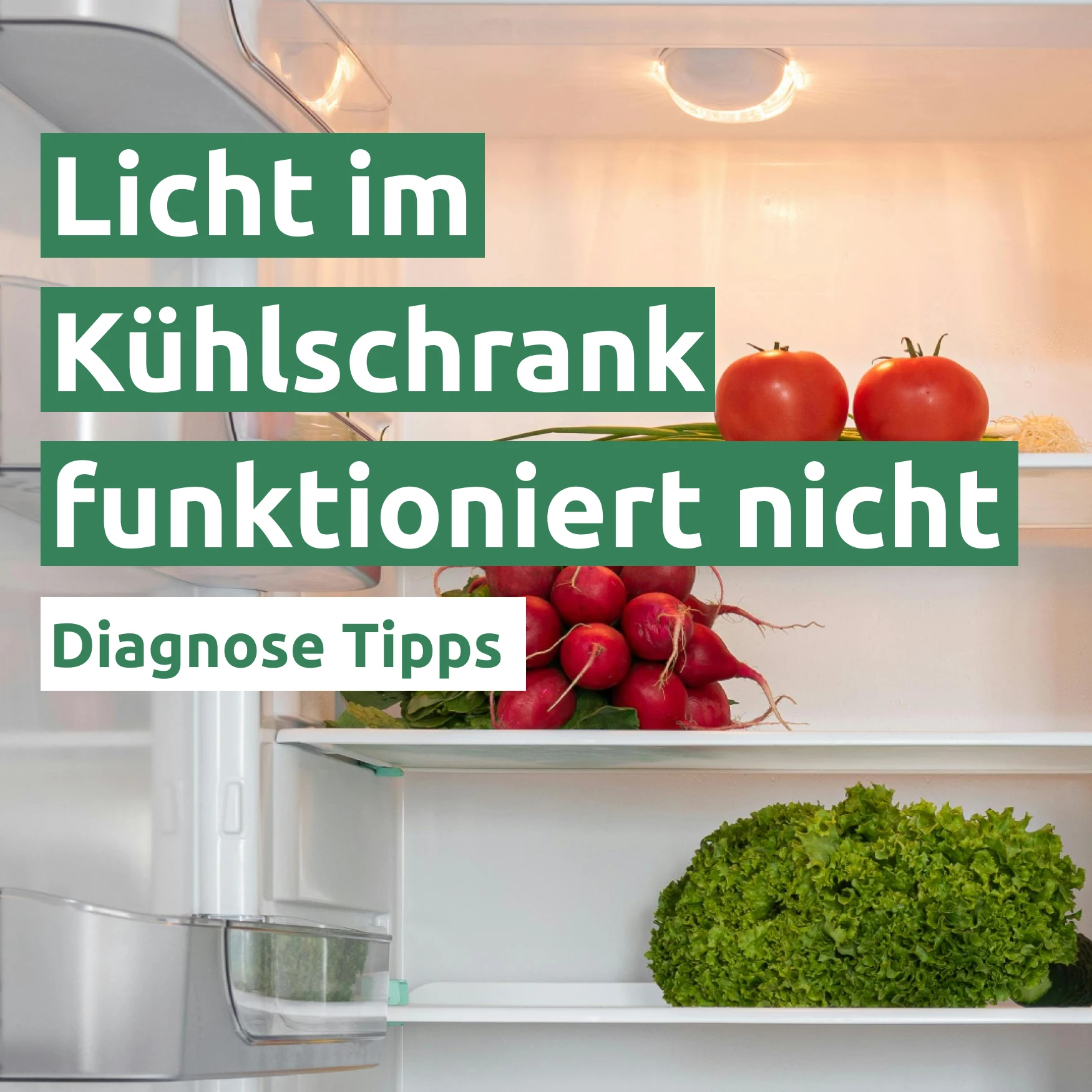 Licht im Kühlschrank funktioniert nicht 