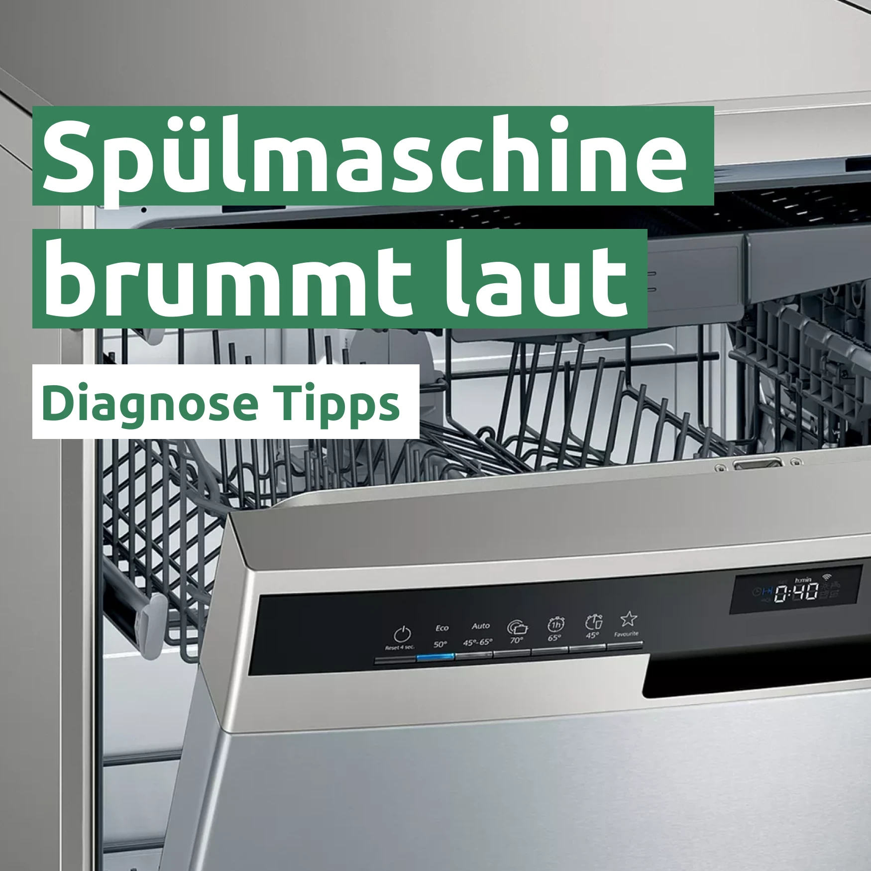 Spülmaschine brummt laut 