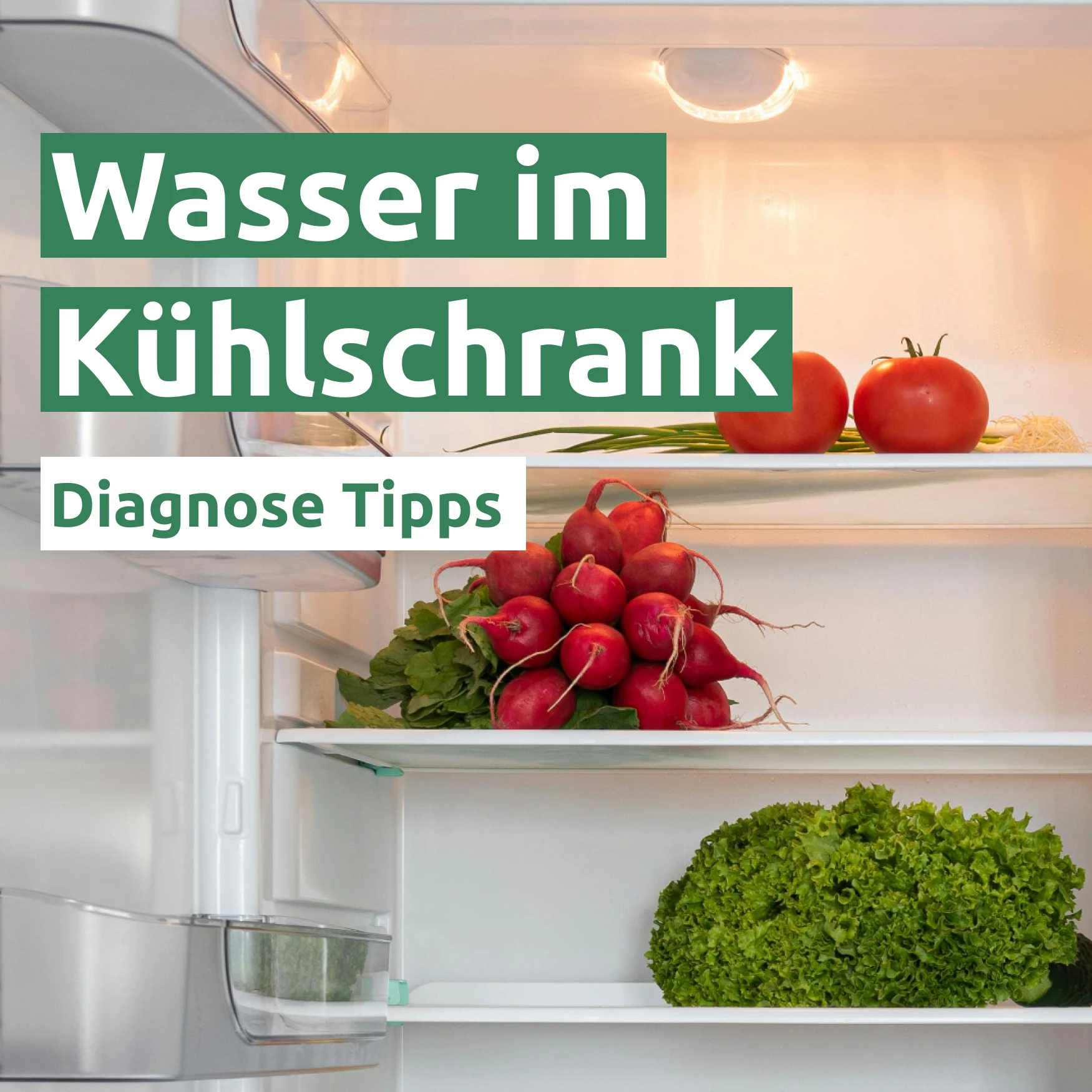 Wasser im Kühlschrank