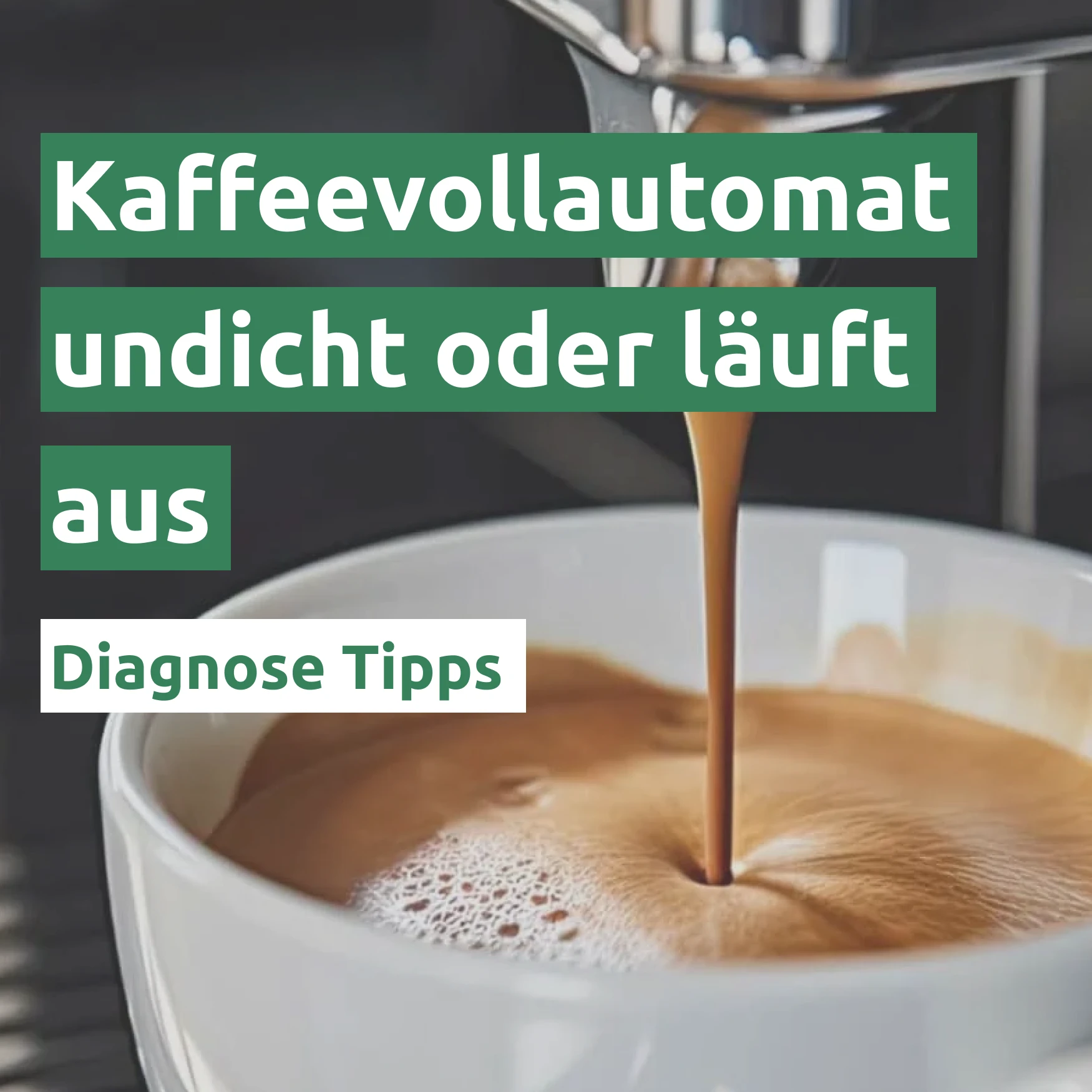 Ratgeber zum Problem: Kaffeevollautomat undicht oder läuft aus