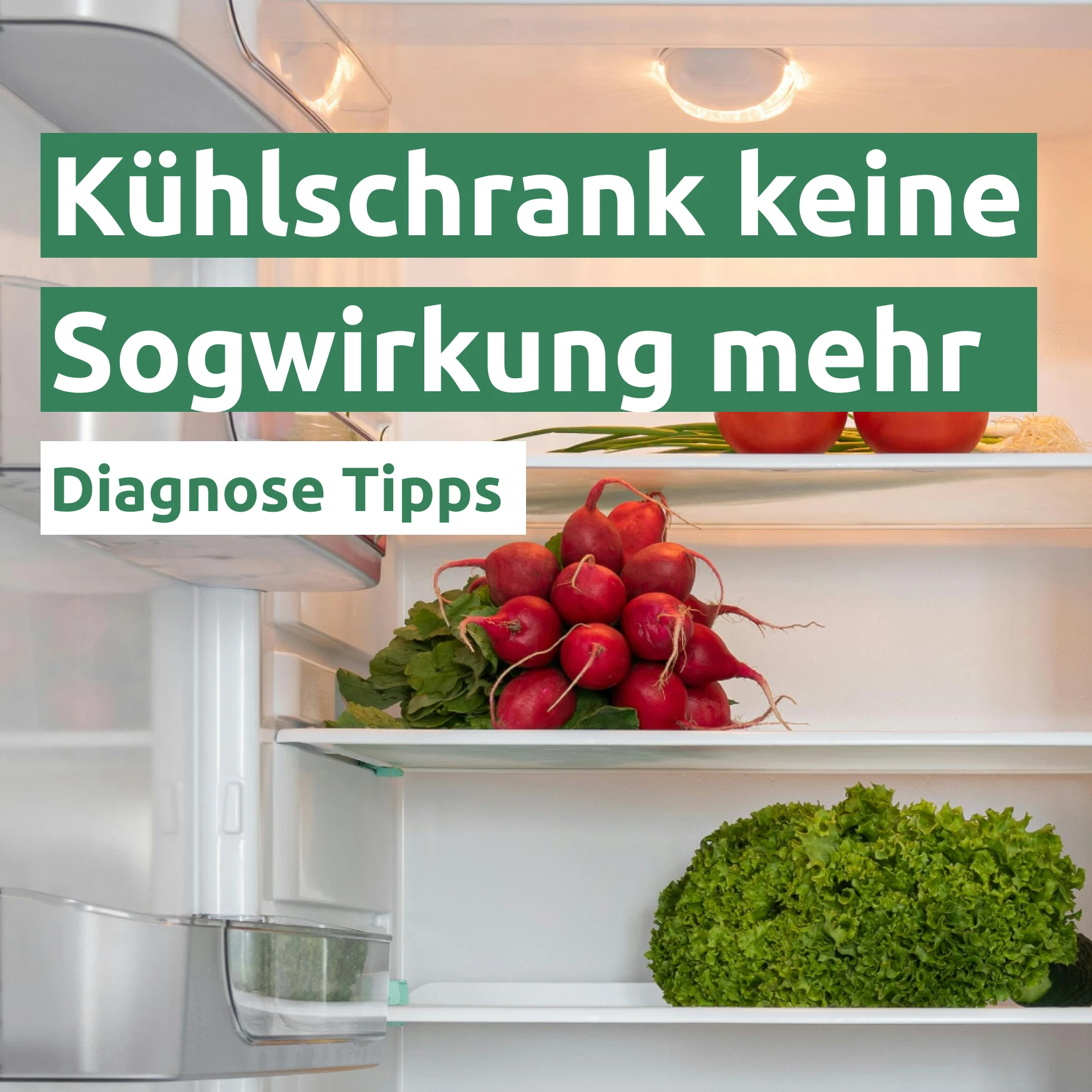 Kühlschrank keine Sogwirkung mehr