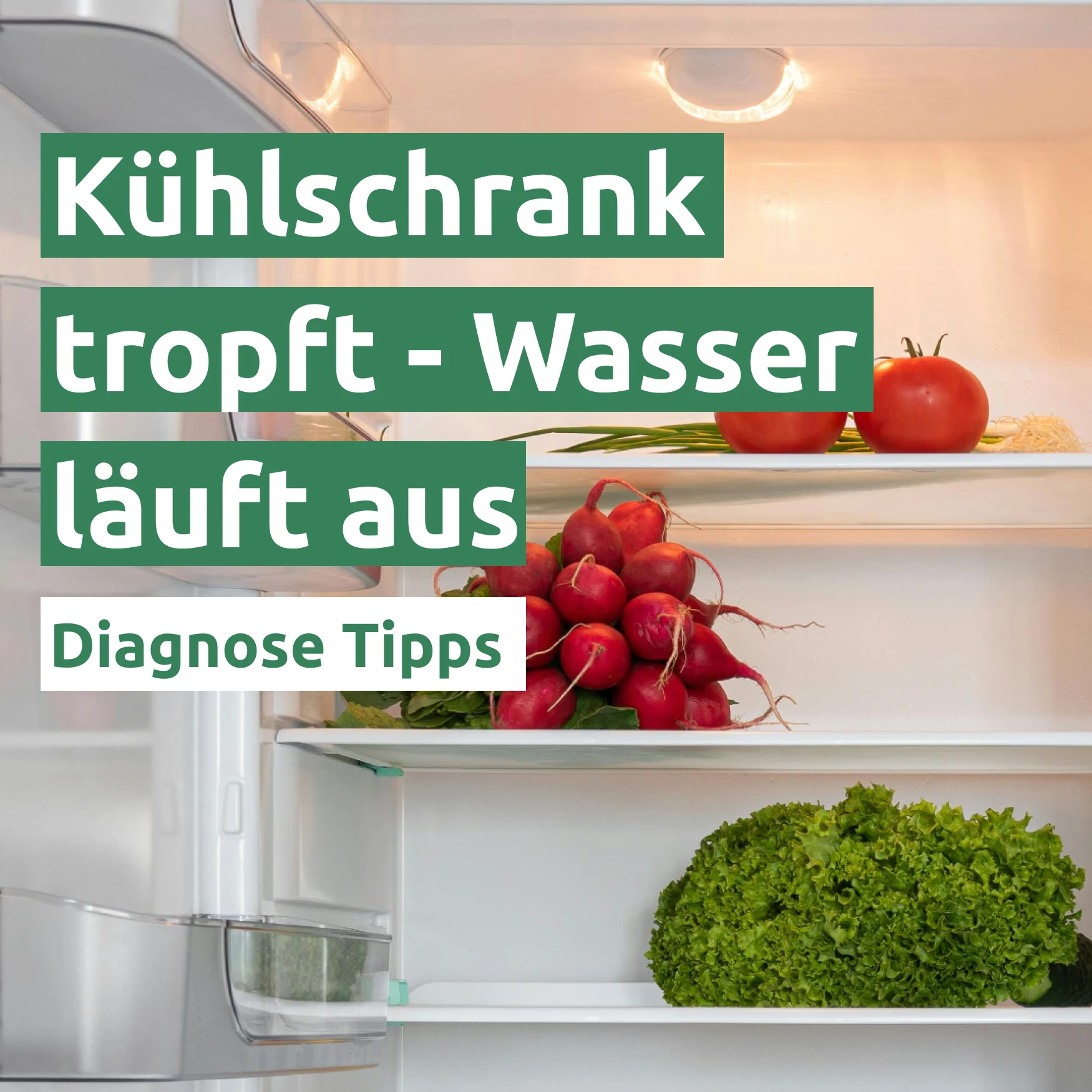 Kühlschrank tropft - Wasser läuft aus