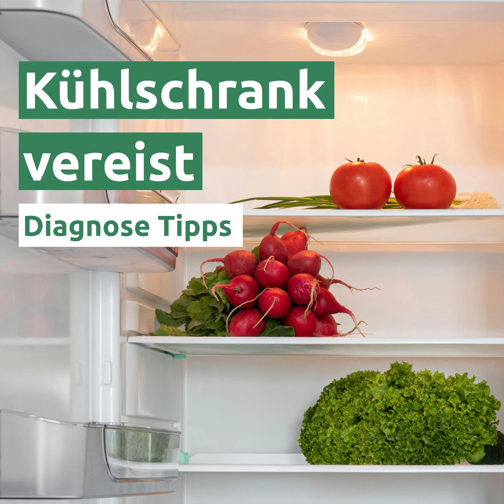 Ratgeber zum Problem: Kühlschrank vereist 