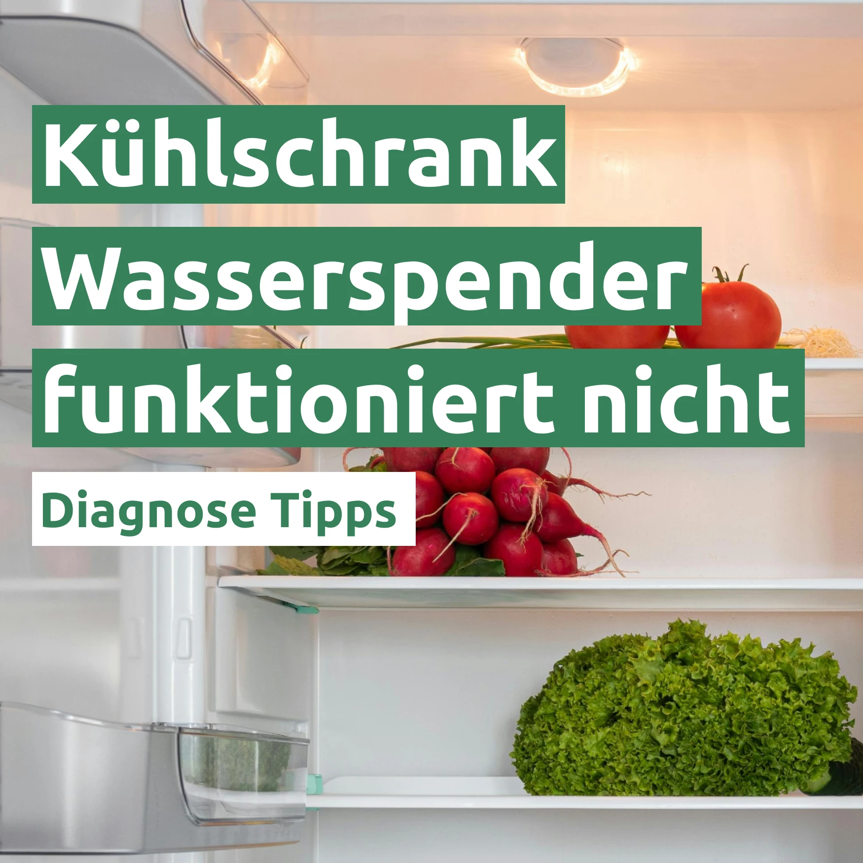 Kühlschrank Wasserspender funktioniert nicht