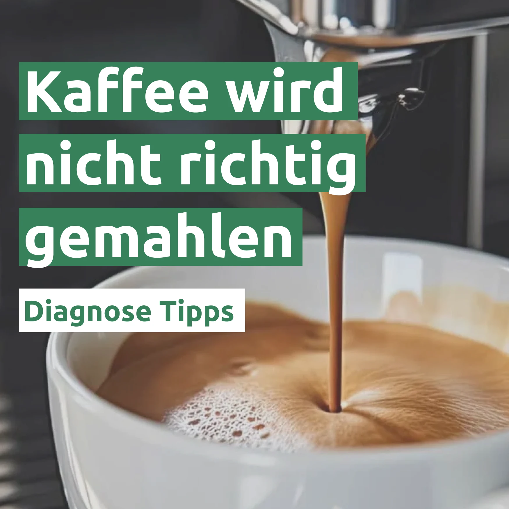 Kaffee wird nicht richtig gemahlen