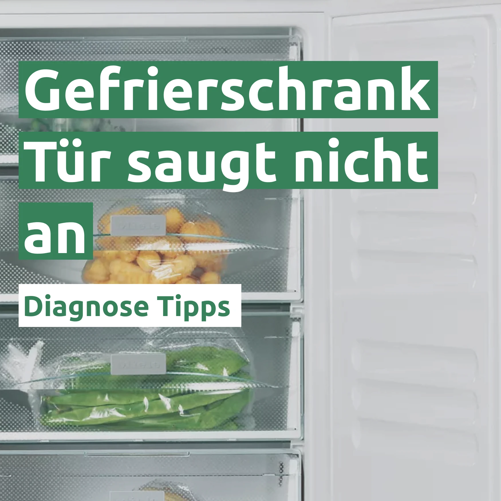 Gefrierschrank Tür saugt nicht an 