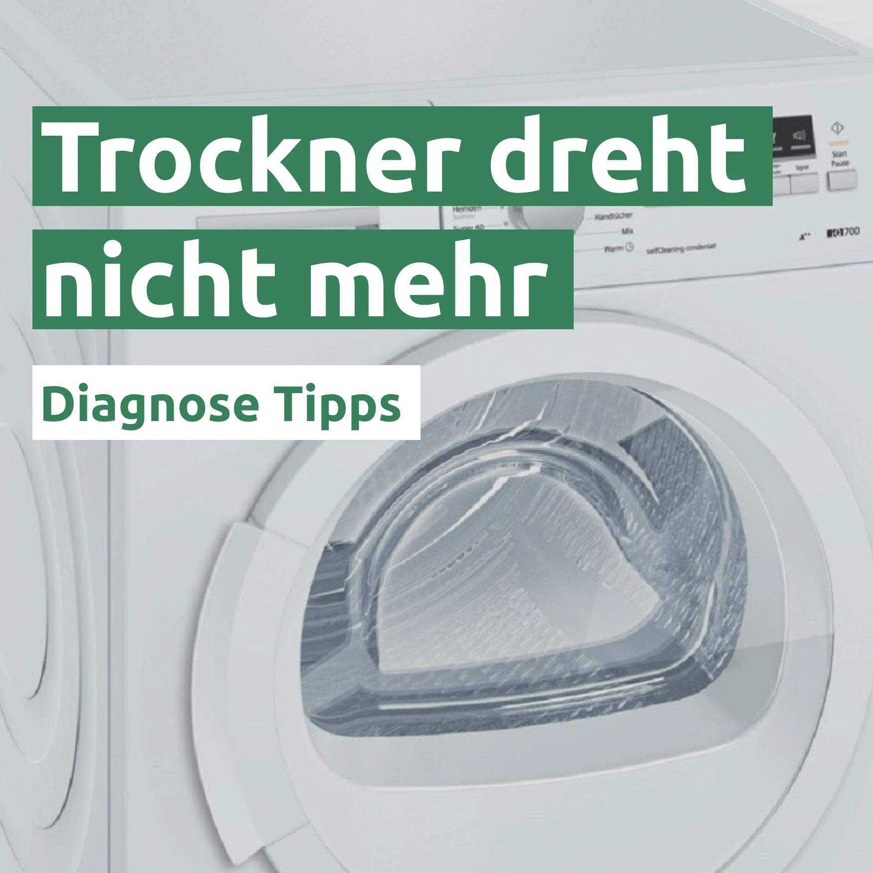 Trockner dreht nicht