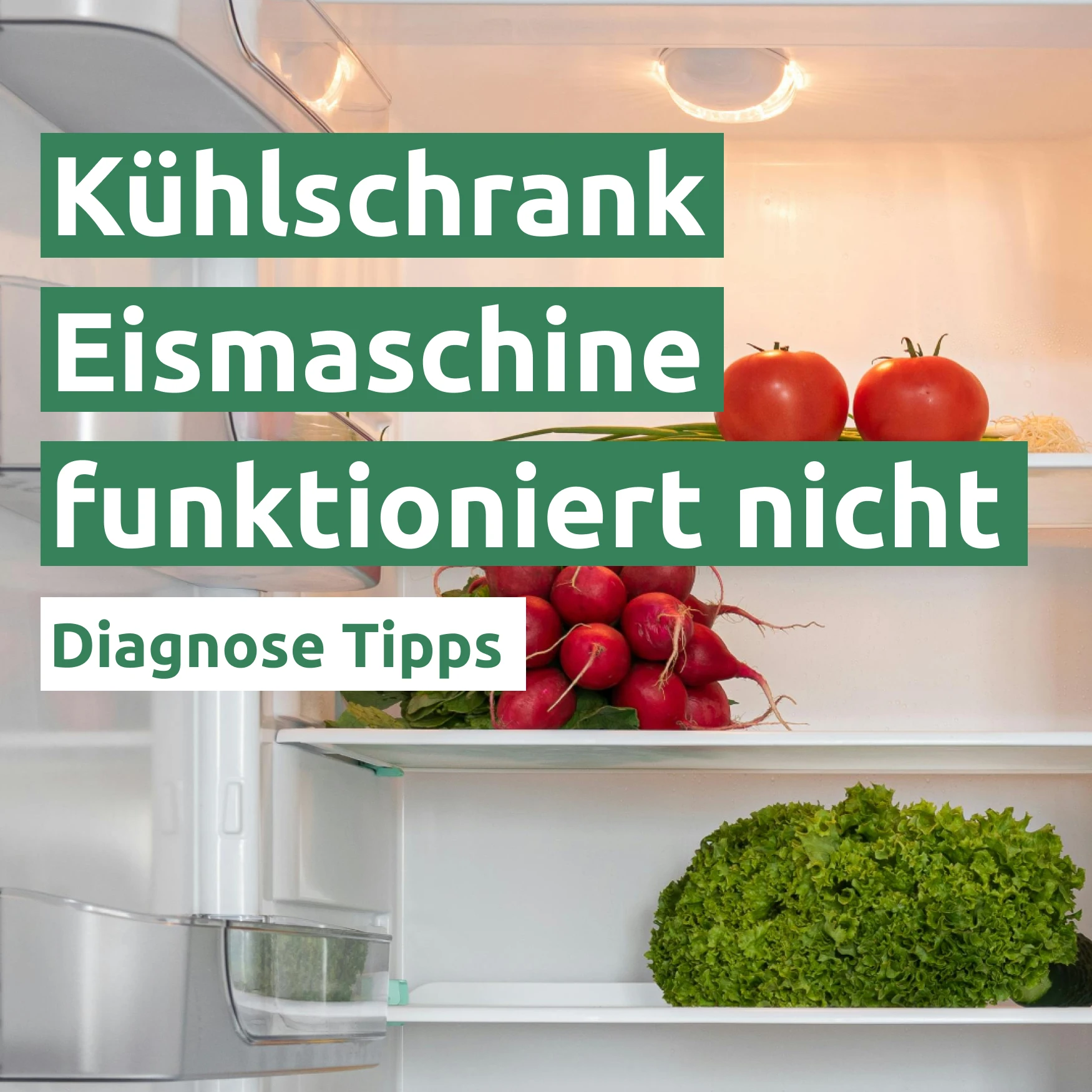 Kühlschrank Eismaschine funktioniert nicht